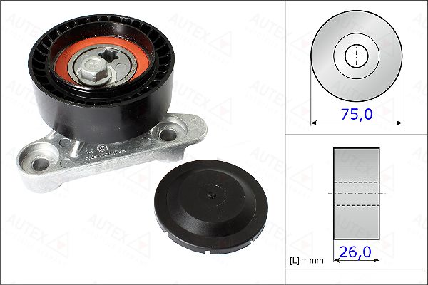 Rola intinzator curea transmisie