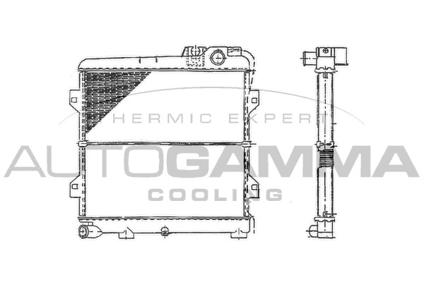 Radiator racire motor