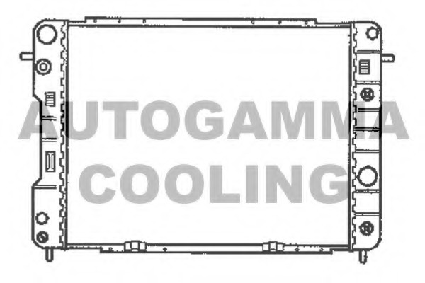 Radiator racire motor