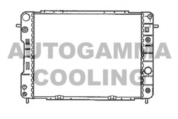 Radiator racire motor