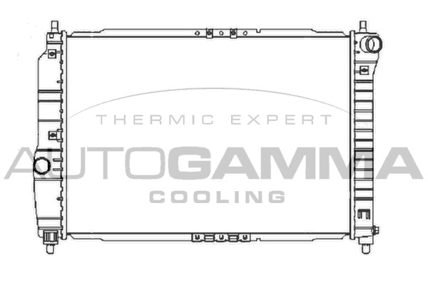 Radiator racire motor