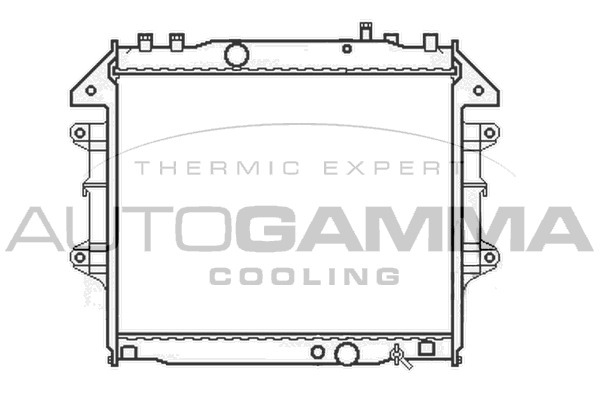 Radiator racire motor