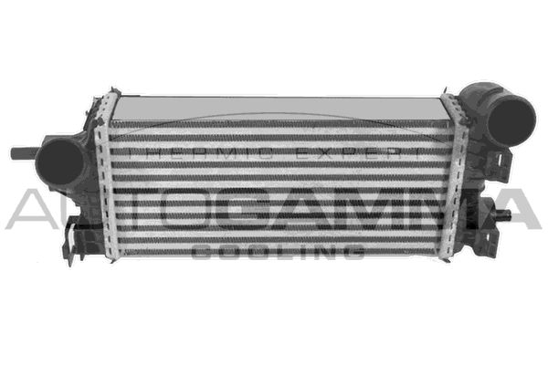 Intercooler, compresor