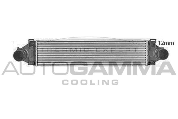 Intercooler, compresor