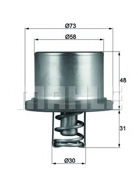 Termostat lichid racire