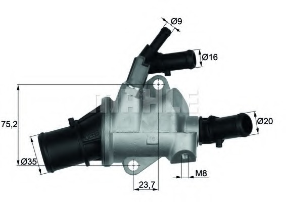 Termostat lichid racire