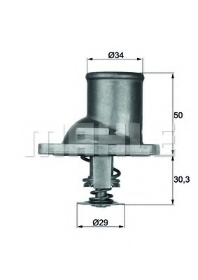 Termostat lichid racire