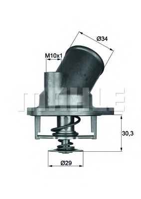 Termostat lichid racire