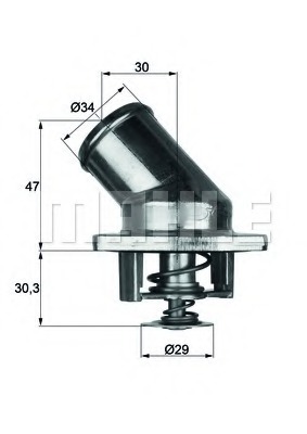 Termostat lichid racire