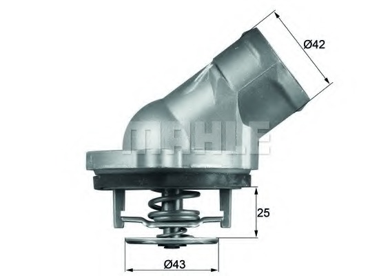 Termostat lichid racire