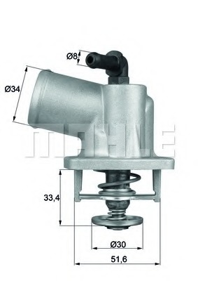 Termostat lichid racire