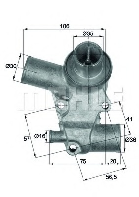 Termostat lichid racire