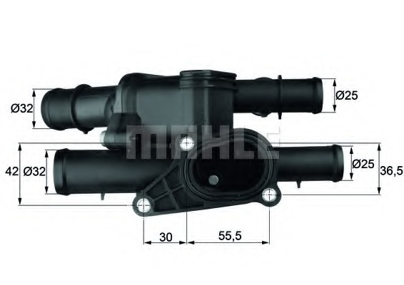 Termostat lichid racire