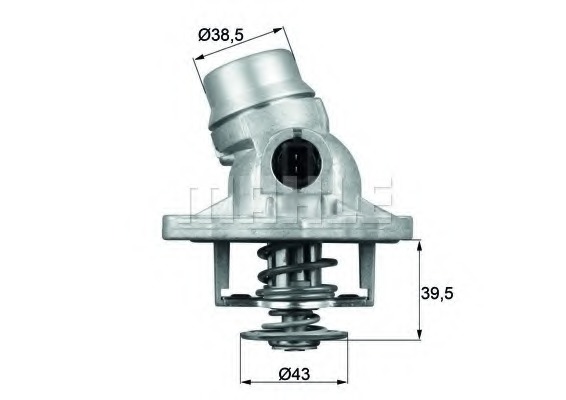 Termostat lichid racire