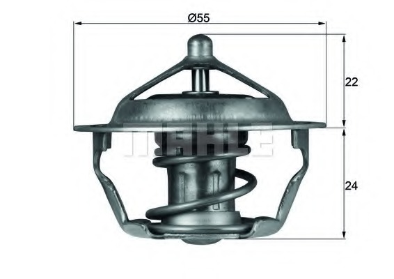 Termostat lichid racire