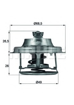 Termostat lichid racire