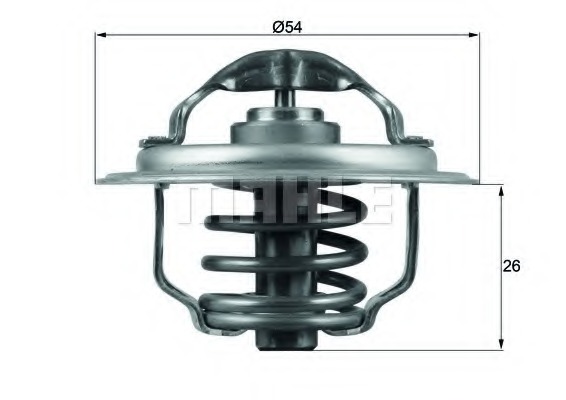 Termostat lichid racire