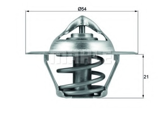 Termostat lichid racire