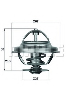 Termostat lichid racire