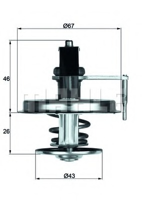 Termostat lichid racire