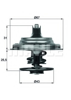 Termostat lichid racire