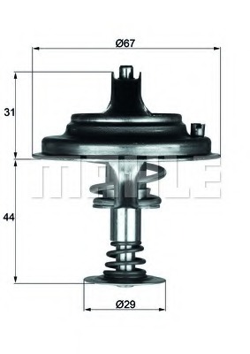 Termostat lichid racire