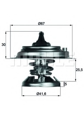 Termostat lichid racire