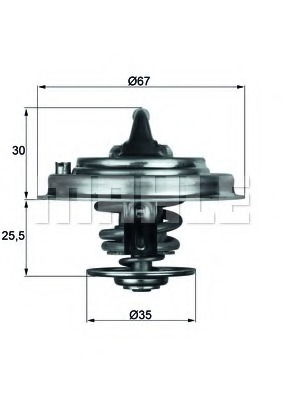 Termostat lichid racire