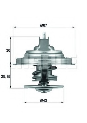 Termostat lichid racire