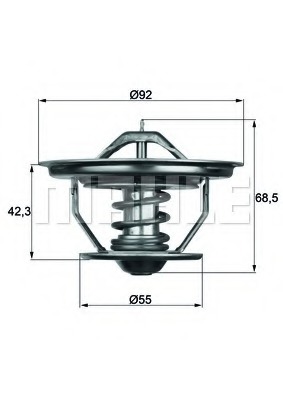 Termostat lichid racire