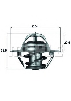 Termostat lichid racire