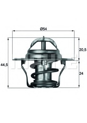 Termostat lichid racire