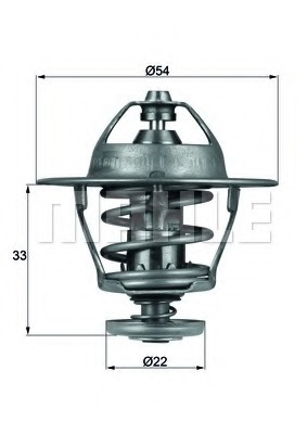 Termostat lichid racire