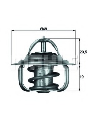 Termostat lichid racire