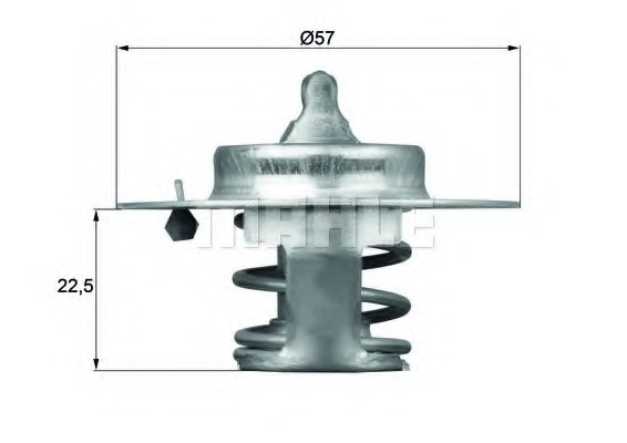 Termostat lichid racire