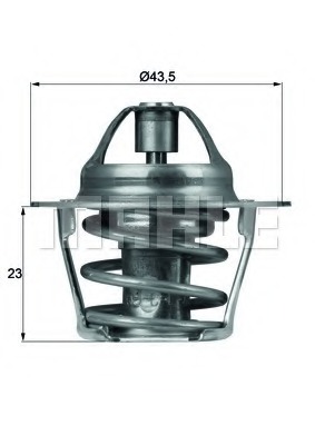 Termostat lichid racire