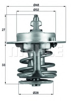 Termostat lichid racire