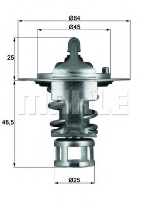 Termostat lichid racire