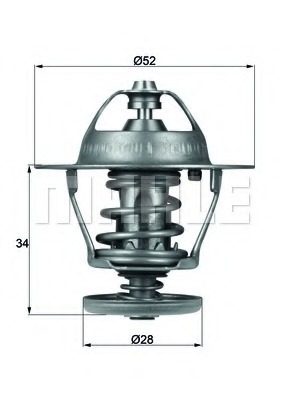 Termostat lichid racire