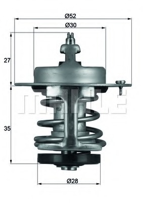 Termostat lichid racire