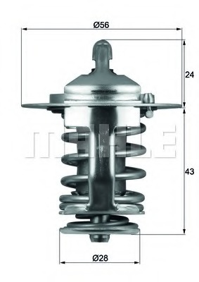 Termostat lichid racire