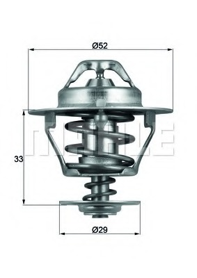 Termostat lichid racire