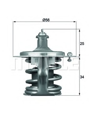 Termostat lichid racire