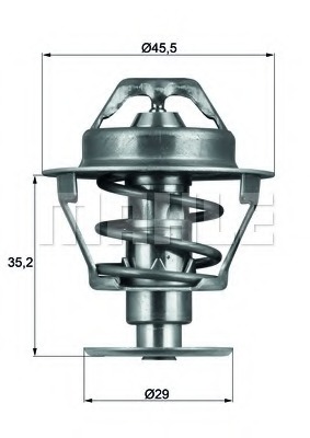 Termostat lichid racire