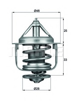 Termostat lichid racire