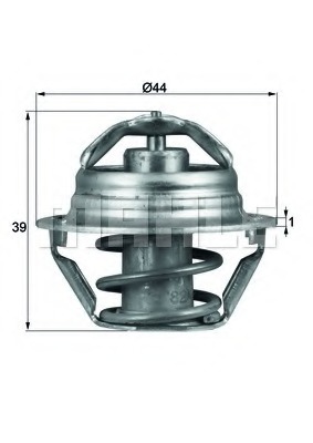 Termostat lichid racire