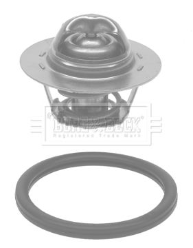 Termostat lichid racire