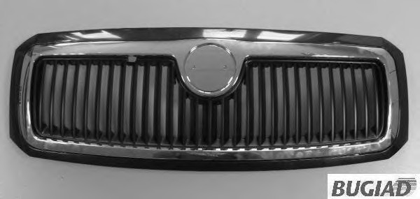 Grila radiator