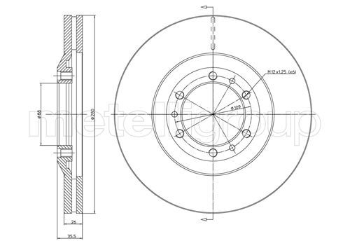 Disc frana