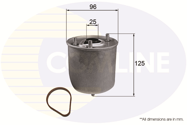 Filtru combustibil